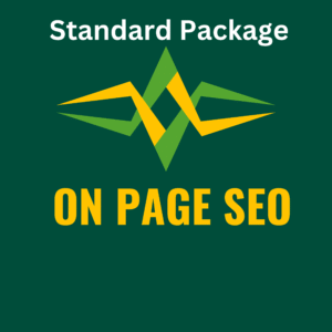 On Page SEO Stander package