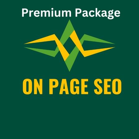 ON Page SEO Premium Package
