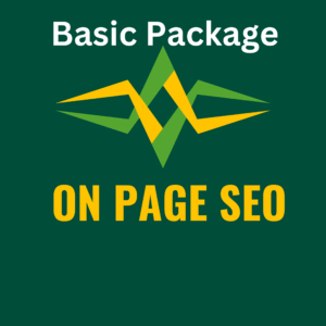 On Page SEO Basic Package